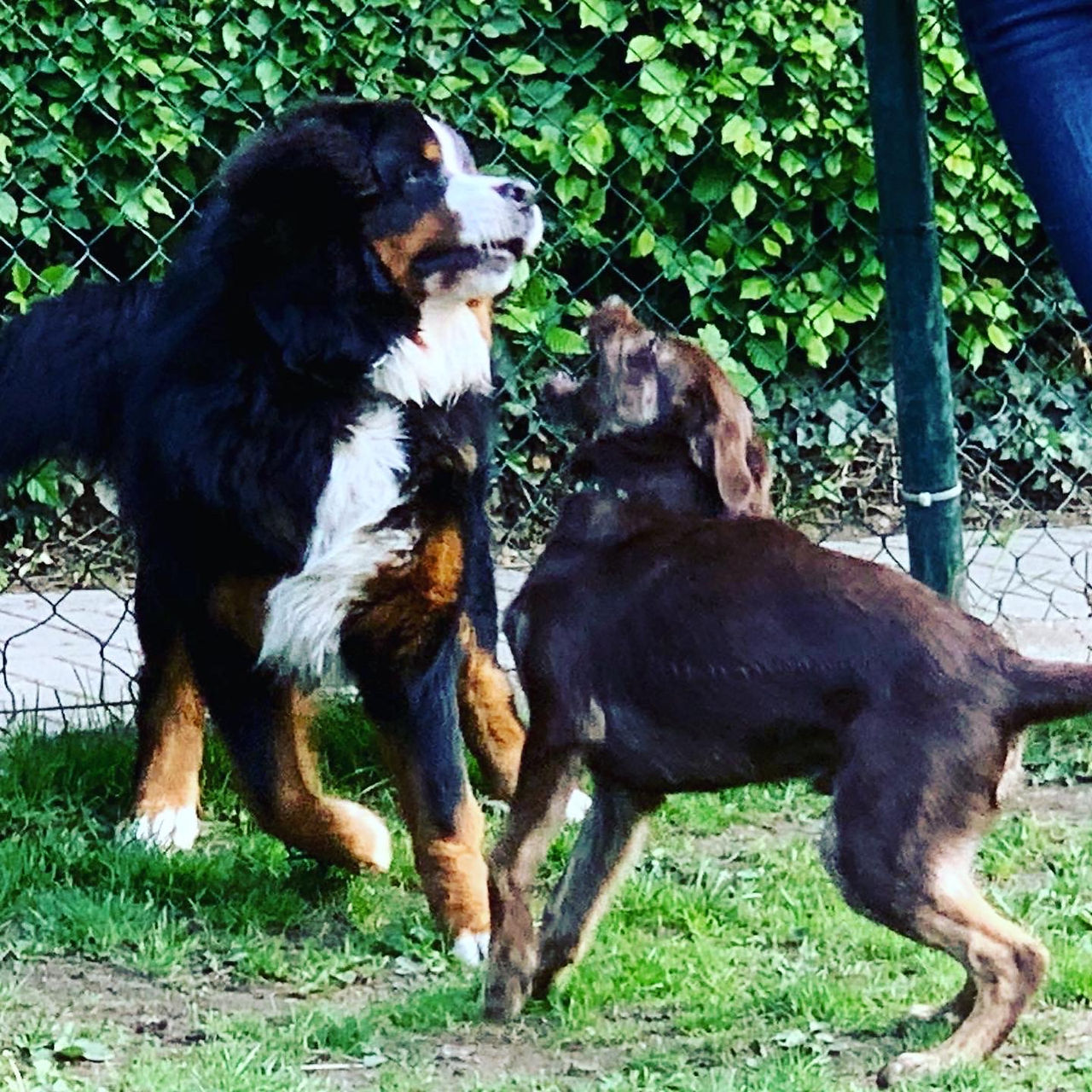 SitzPlatzSteh - Aufbautraining
