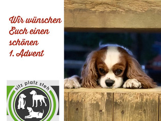 Advent, Advent… Ein Lichtlein brennt