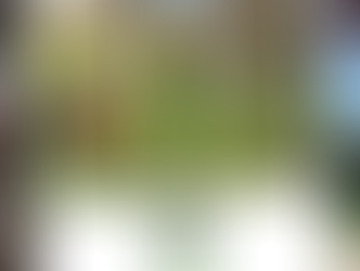 Schönen Frühlingsanfang