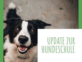 WICHTIG! Update zur Hundeschule