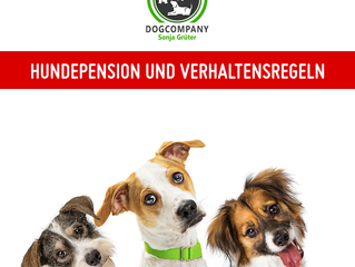 Update - Hundepension bleibt geöffnet.