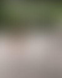 Leinenführigkeit vs. Fussarbeit