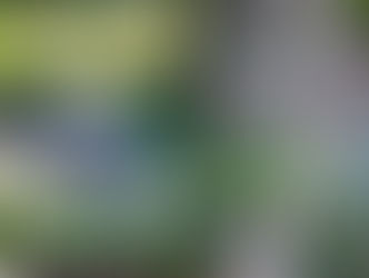 Einige Impressionen vom letzten Tag unseres Hund-Kind-Kurses