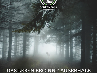 Montagsmotivation am 30.03.2020