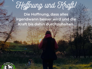 Montagsmotivation & Nikolaus