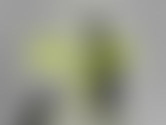 Osterfeuer und Hund-Kind-Kurs fallen aus