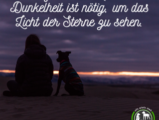 Die Dunkelheit kommt…