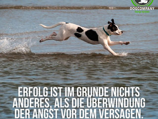 Montagsmotivation