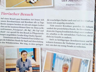 Sonja´s Hunde in der tiergestützten Therapie