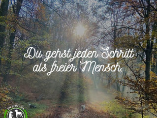 Montagsmotivation
