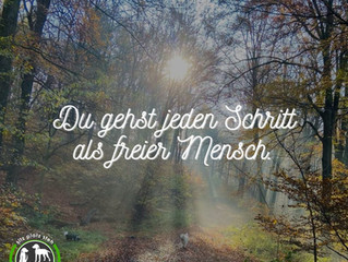 Montagsmotivation