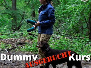 Dummy Kurs ausgebucht!