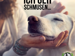Montagsmotivation