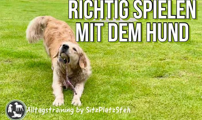 Richtig Spielen mit dem Hund - Seminar