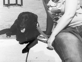 Geschlossen - Wir verabschieden uns