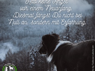 Montagsmotivation