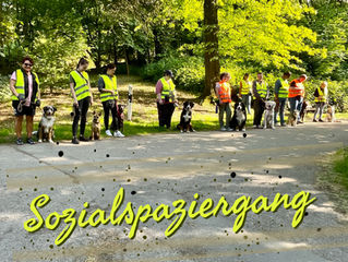 Sozialspaziergang
