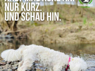 Wochenmotivation