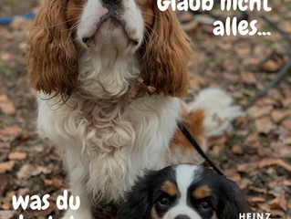 Montagsmotivation: Glaub nicht alles, was du denkst