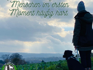Montagsmotivation: Klarheit