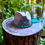 Thumbnail: Pyrography Hat/Grey Horse