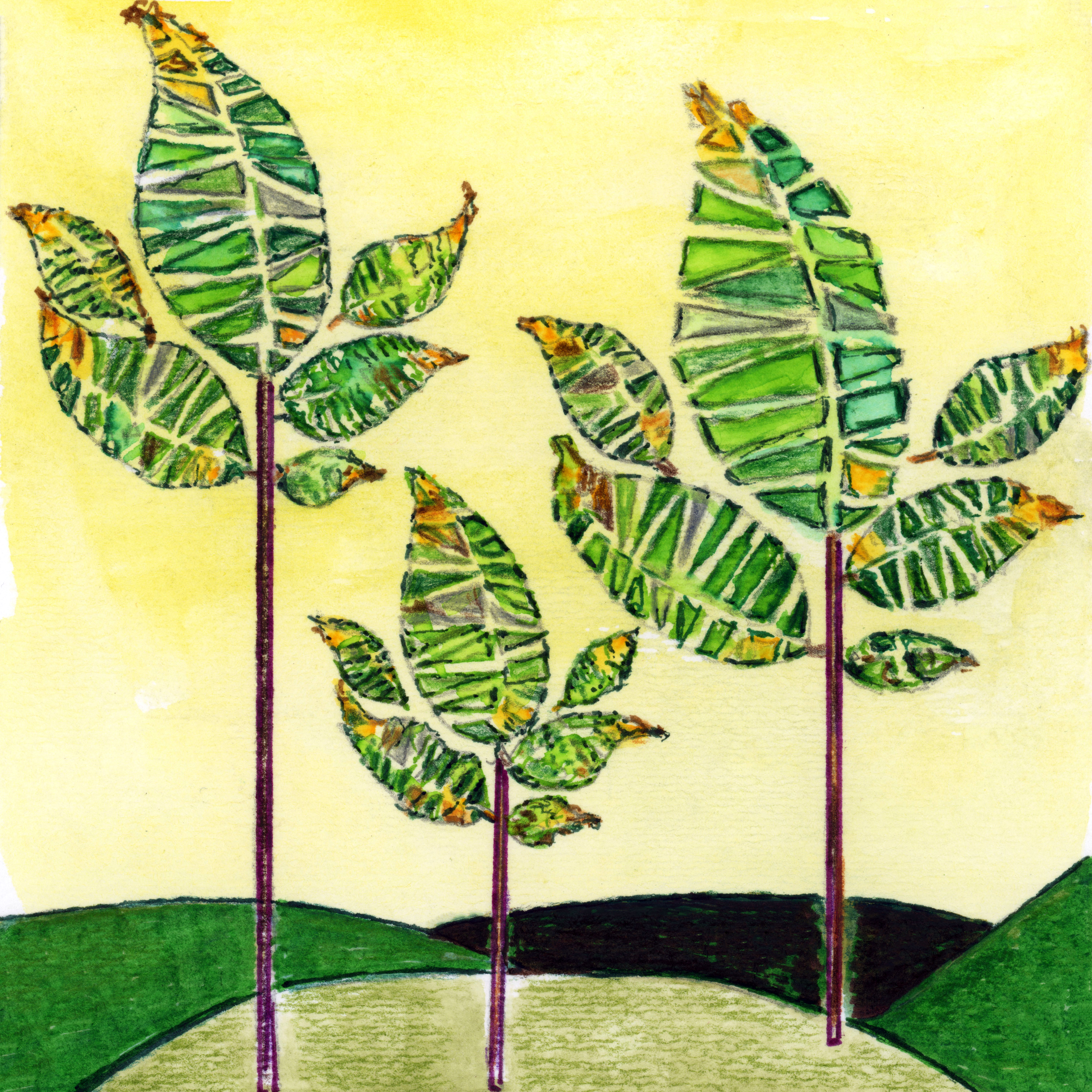 Leafy Treezy