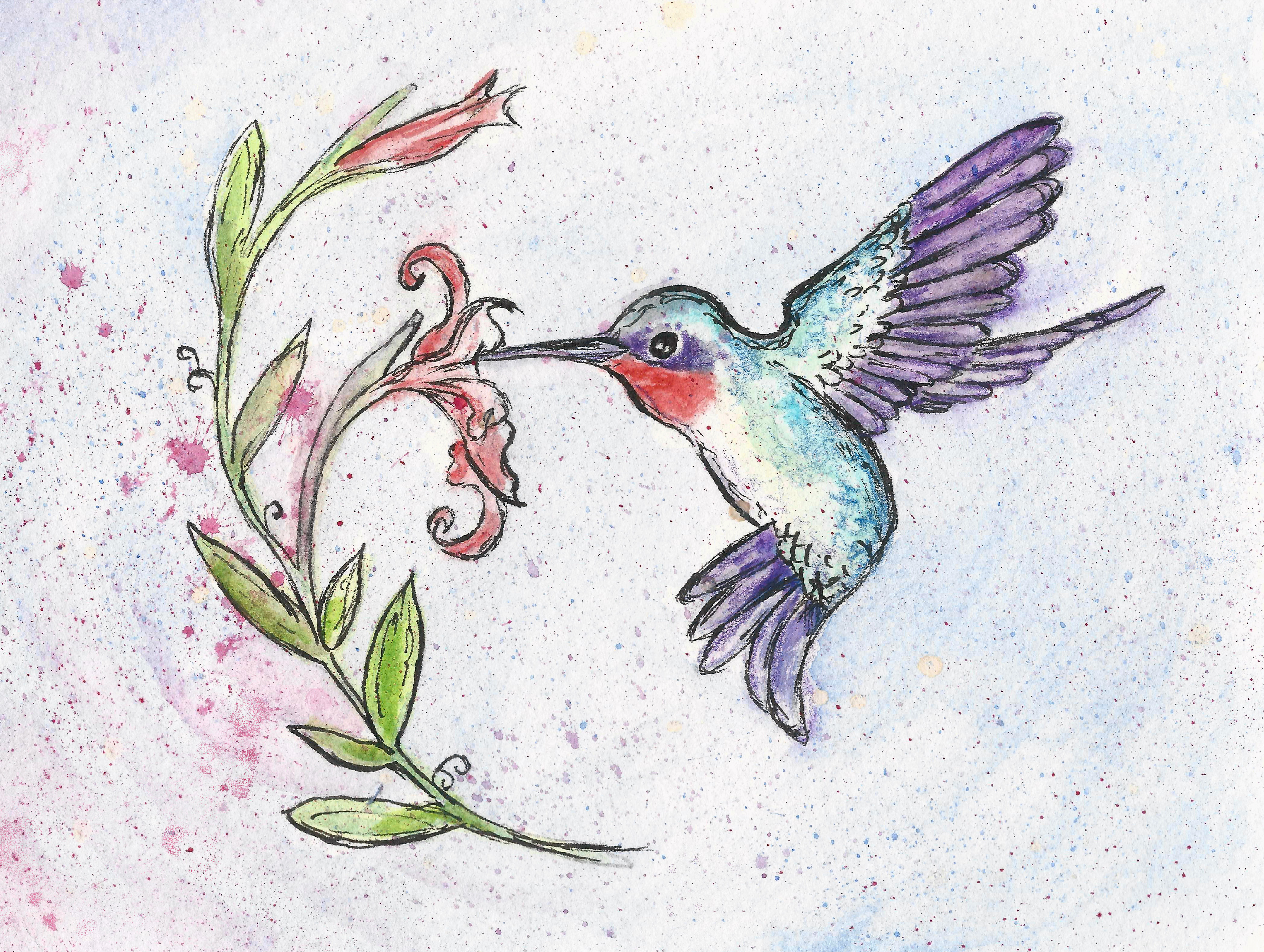 winsome hummingbird