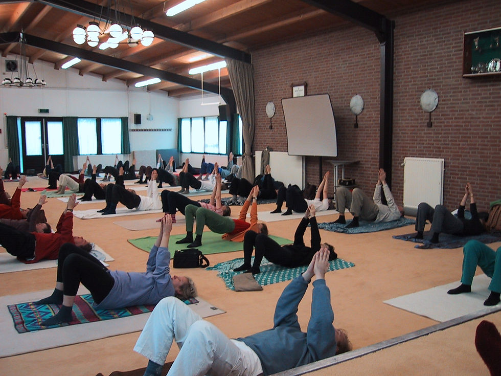 Free Online Feldenkrais Class