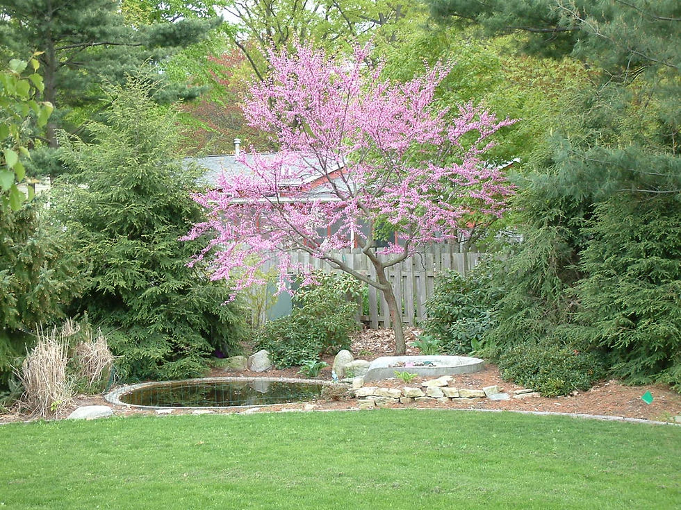 landscaper, Grand Haven, MI