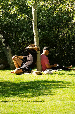 nature-bathing-forest-bathing-sun-valley-idaho.jpg