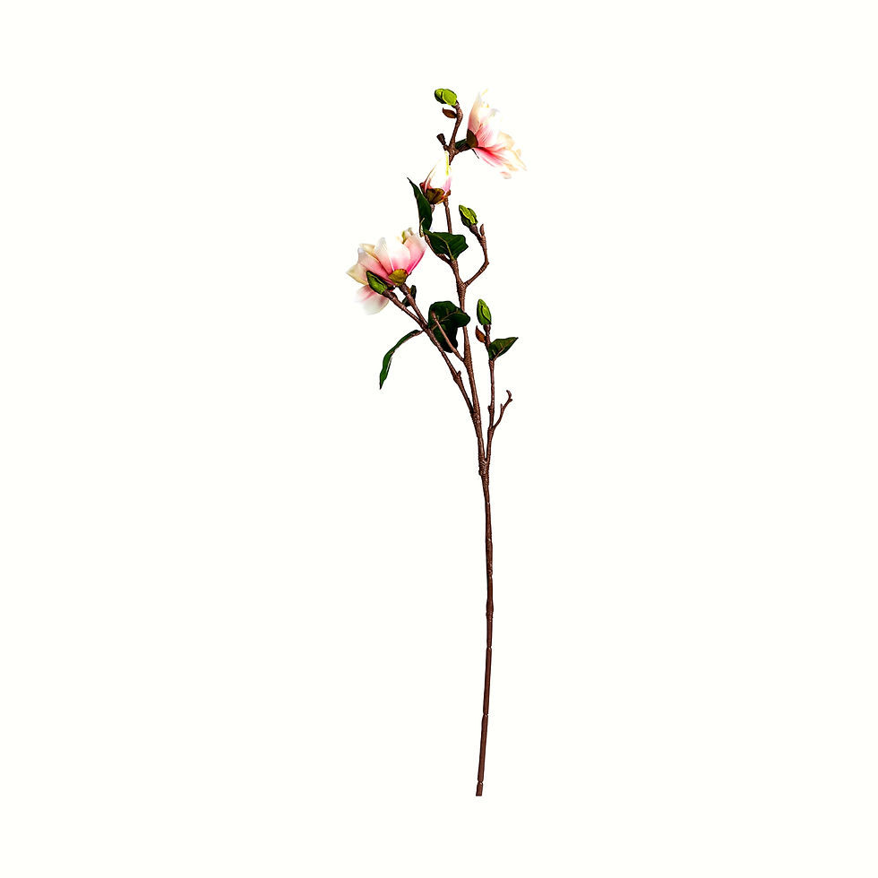 Thumbnail: Set of 12 - Yulan Flower