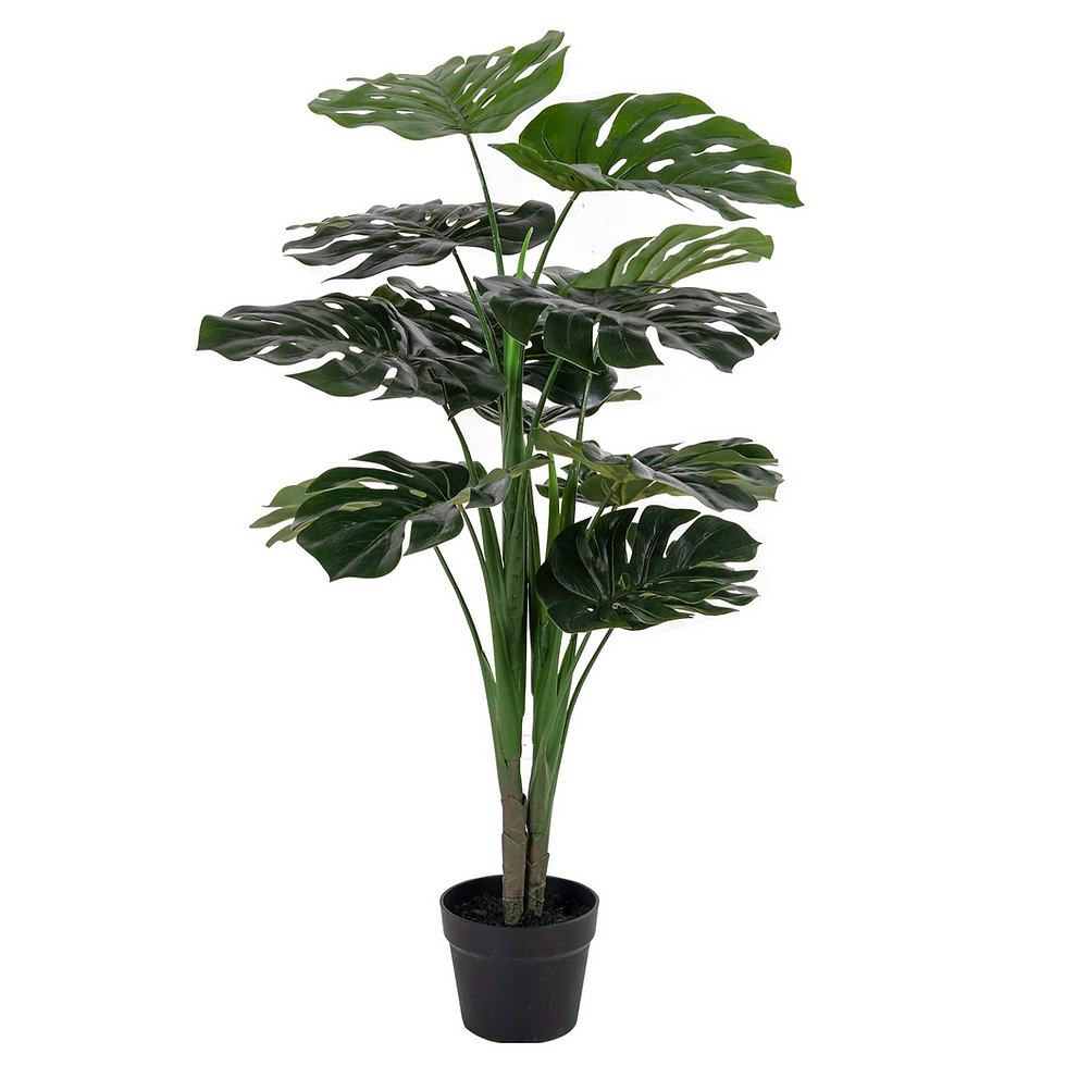 Thumbnail: Monstera plant - ∅50x90 cm