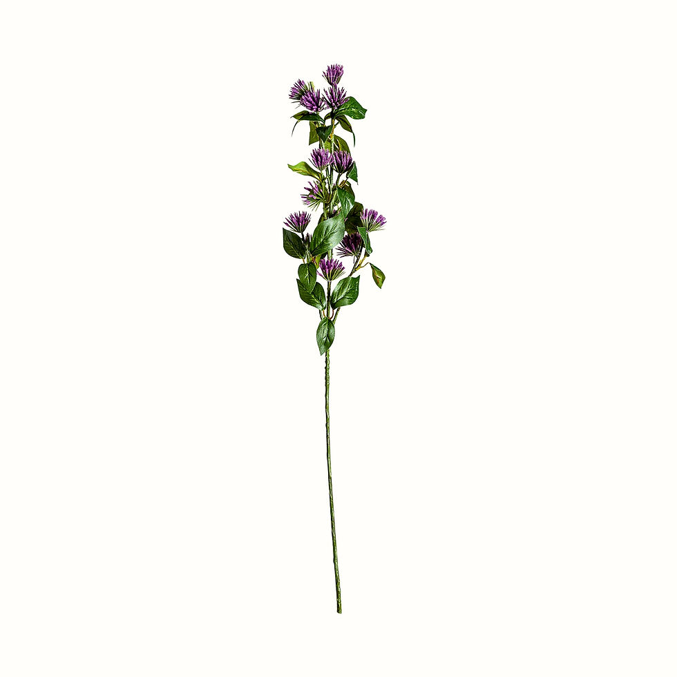 Thumbnail: Set of 12 - Centaurea Flowers