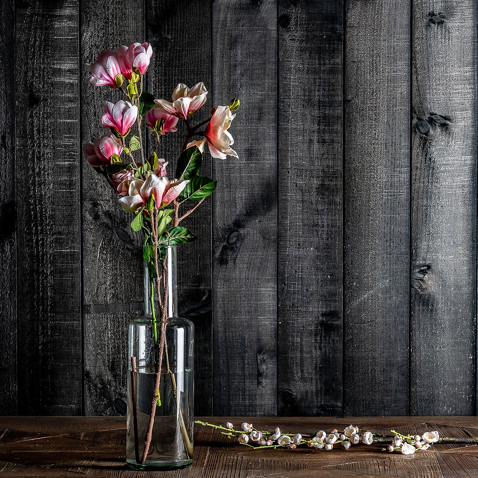 Thumbnail: Set of 12 - Magnolia Flower