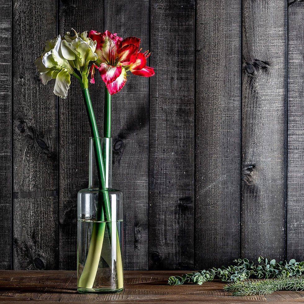 Thumbnail: Set of 12 - Amaryllis Flower