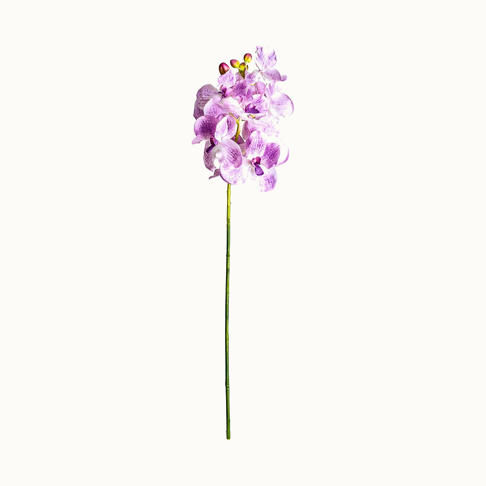 Thumbnail: Set of 12 - Orquídea Flower