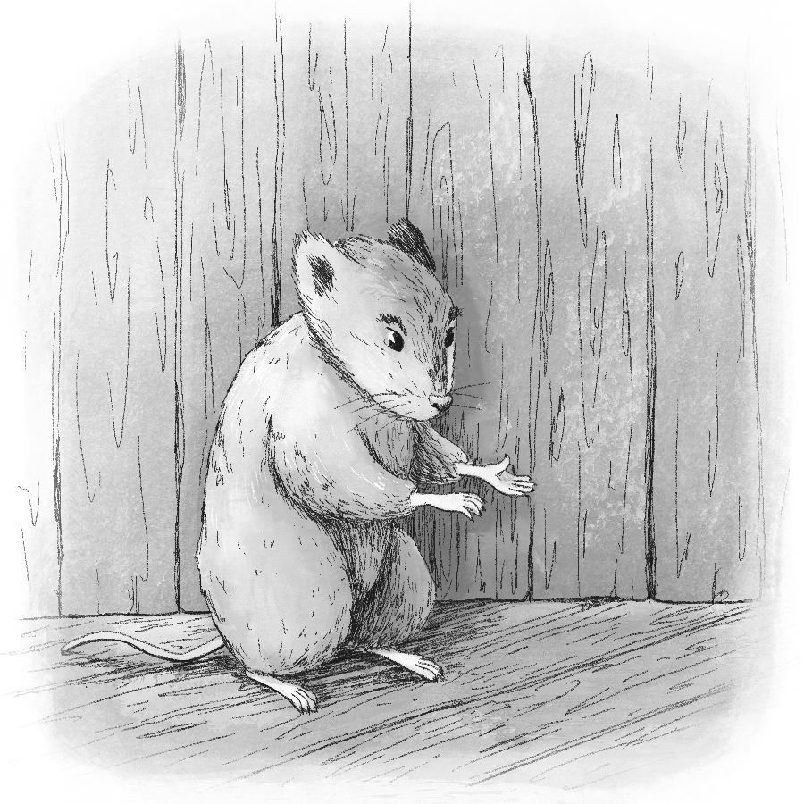 Thumbnail: The Etiquette of Voles