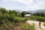Haitian orphanage