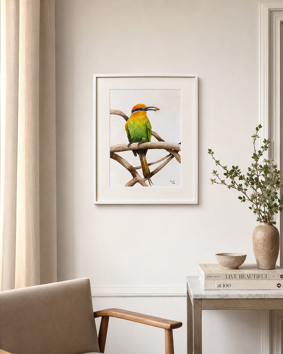 Miniatura: Abelharuco-de-Böhm — Aquarela Digital para Impressão