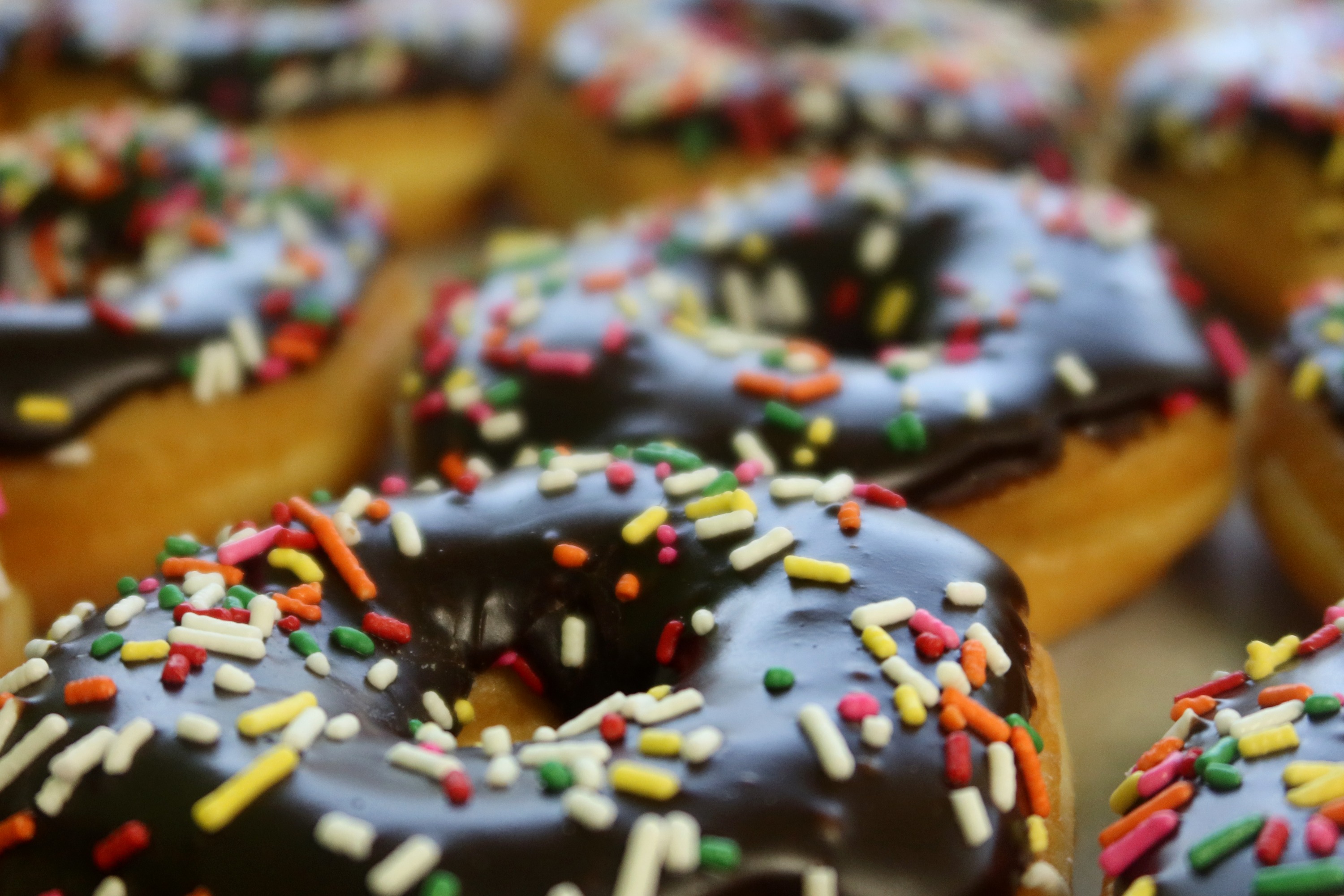 Arranged Food and Objects