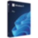 windows 11