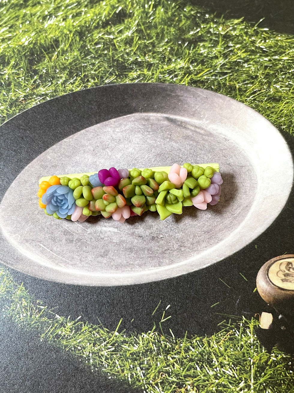 Thumbnail: Colourful succulent brooches