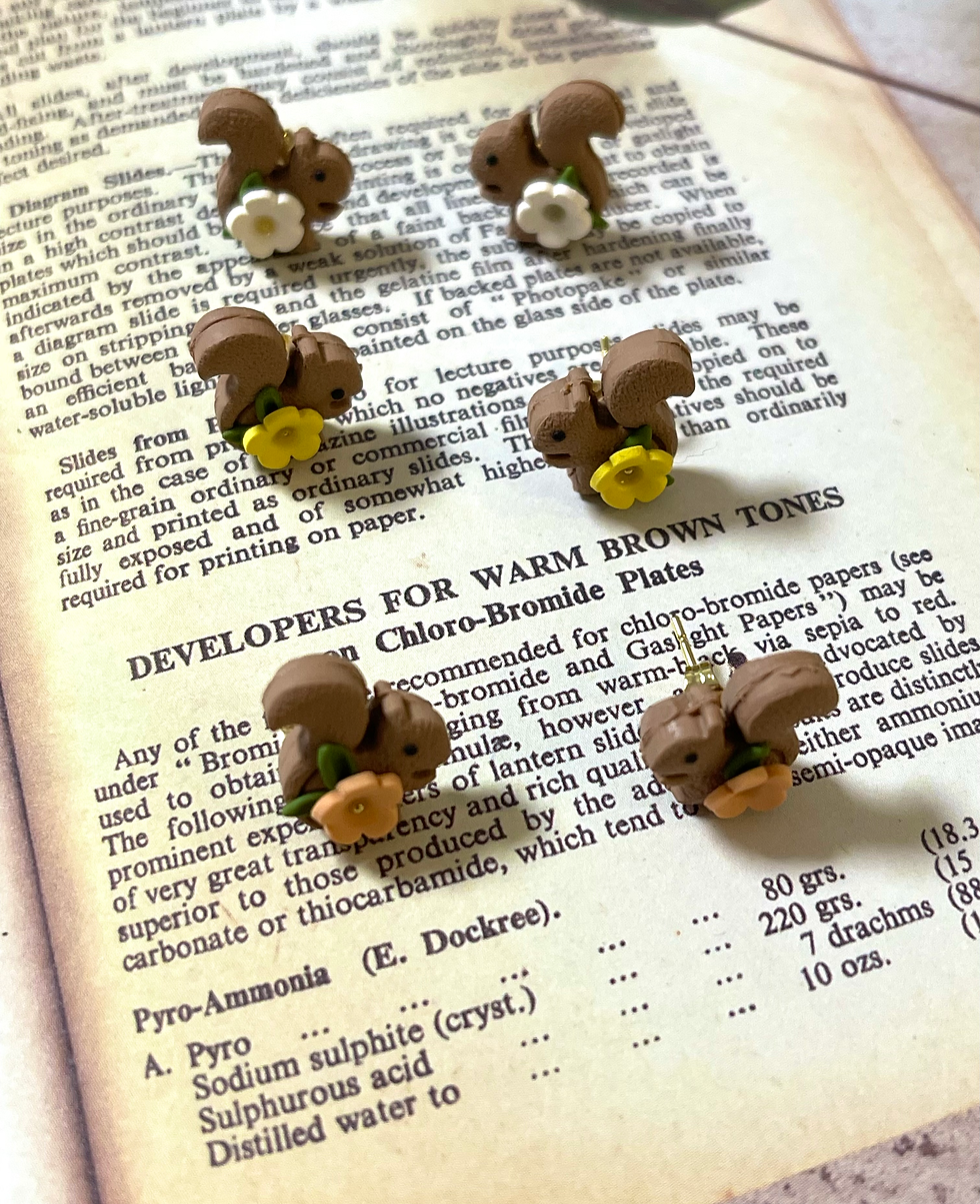 Thumbnail: Mini squirrel studs