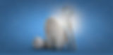 Welcome Banner_4.jpg