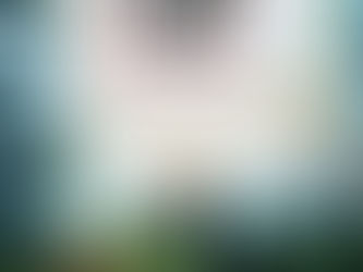 Von wegen "Lückenbüßer" ...