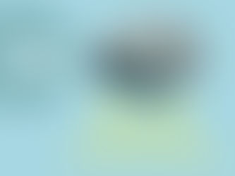 Was macht einen "echten" Amerikaner aus?