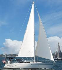 Summer in Newport: When the Harbor Comes Alive