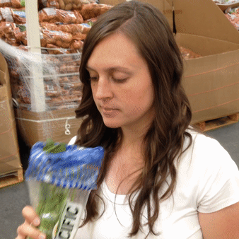 How to pick celery
