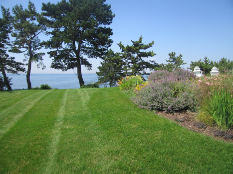 Oceanside Perennial Garden