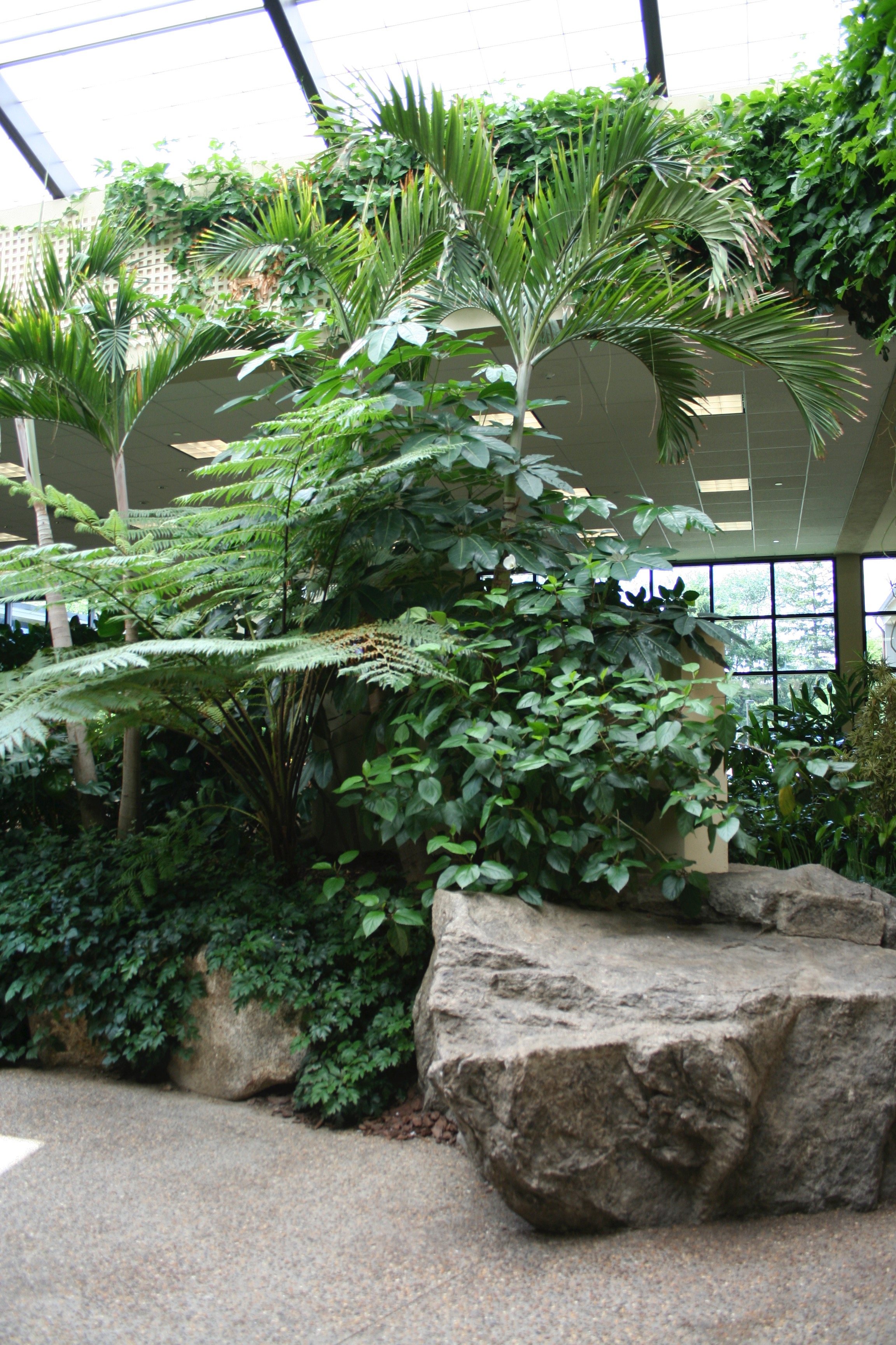 Tropical Garden